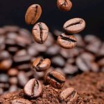 Coffee — Introduction and History